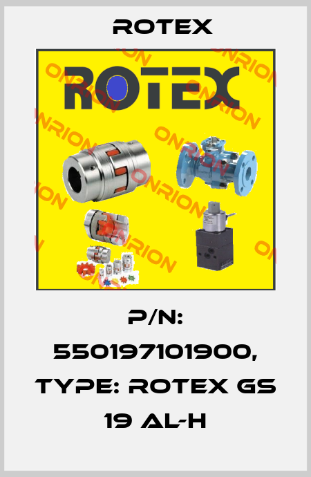 P/N: 550197101900, Type: ROTEX GS 19 AL-H Rotex