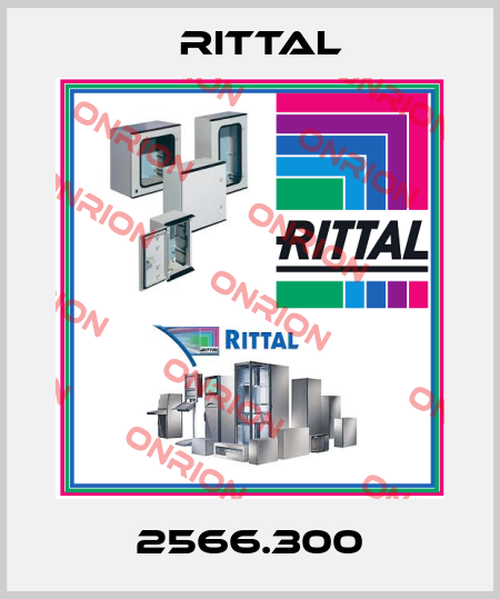 2566.300 Rittal