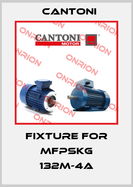 fixture for mFPSKg 132M-4A Cantoni