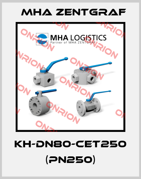 KH-DN80-CET250 (PN250) Mha Zentgraf