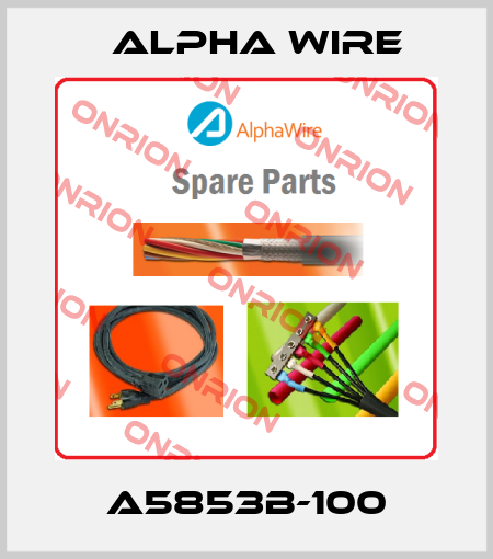 A5853B-100 Alpha Wire