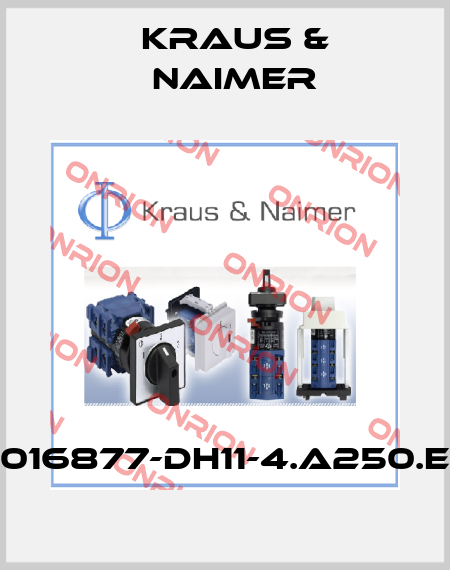70016877-DH11-4.A250.EGF Kraus & Naimer