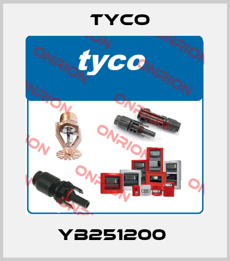 YB251200  TYCO