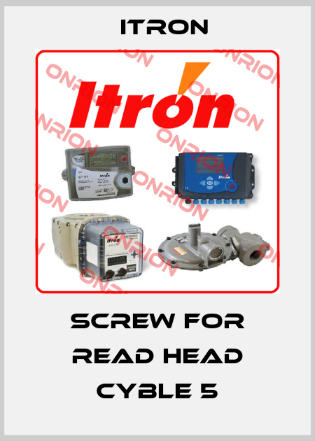 screw for read head CYBLE 5 Itron