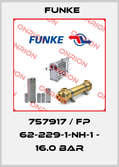 757917 / FP 62-229-1-NH-1 - 16.0 bar Funke