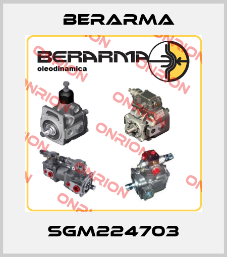 SGM224703 Berarma