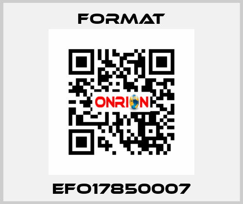 EFO17850007 Format