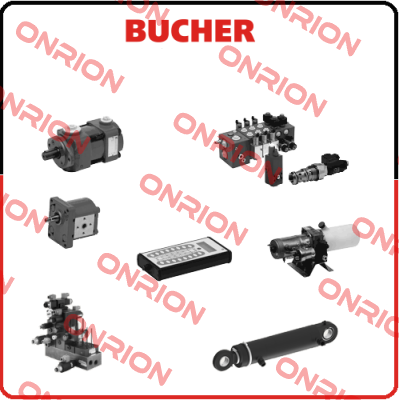 SWUVP/ 1NC0-AT-F-10 24V DC Bucher
