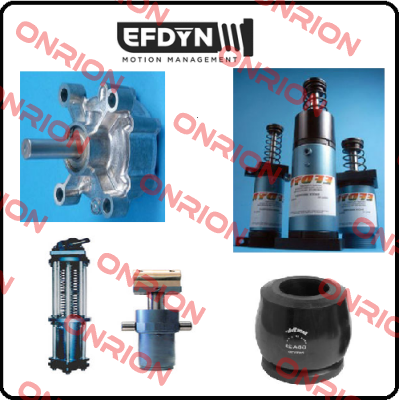 980-4244-4 EFDYN