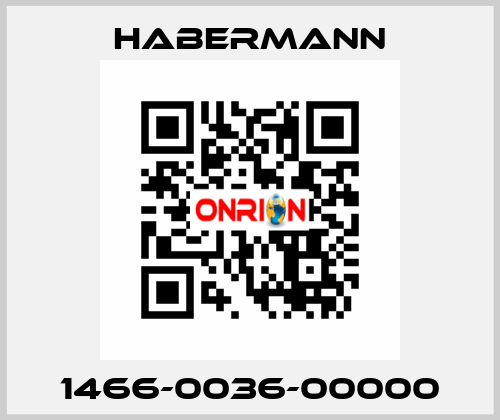 1466-0036-00000 HABERMANN