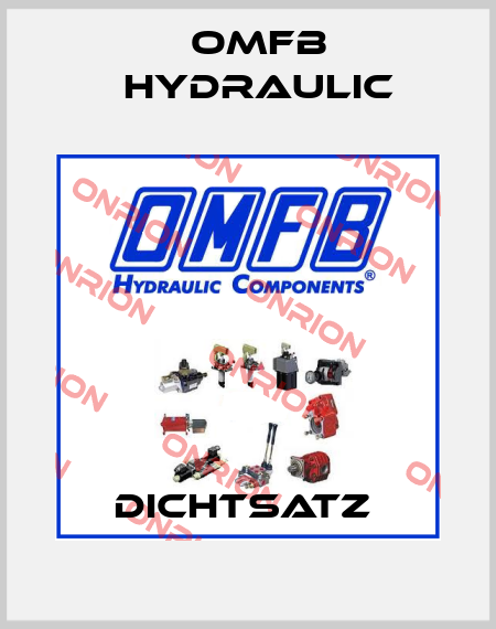 Dichtsatz  OMFB Hydraulic