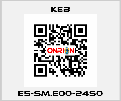 E5-SM.E00-24S0 KEB