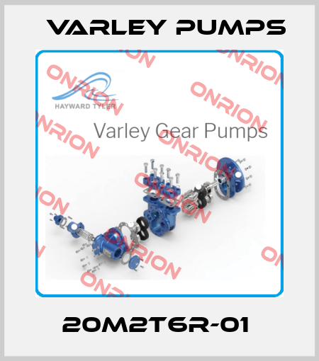 20M2T6R-01  Varley Pumps