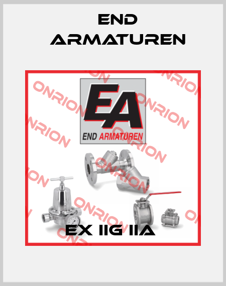 EX IIG IIA  End Armaturen
