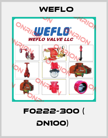 F0222-300 ( DN100)  Weflo