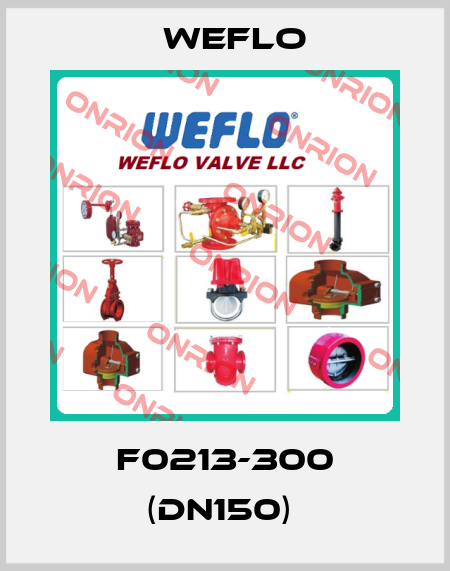 F0213-300 (DN150)  Weflo