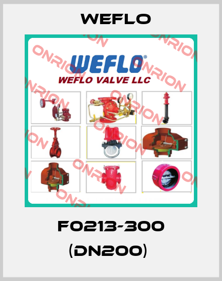F0213-300 (DN200)  Weflo