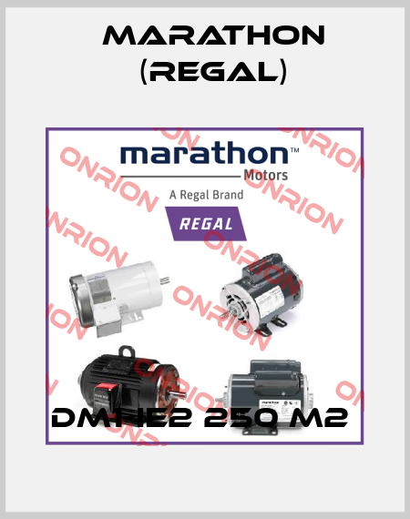 DM1-IE2 250 M2  Marathon (Regal)