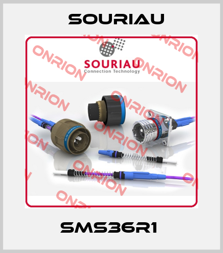 SMS36R1  Souriau