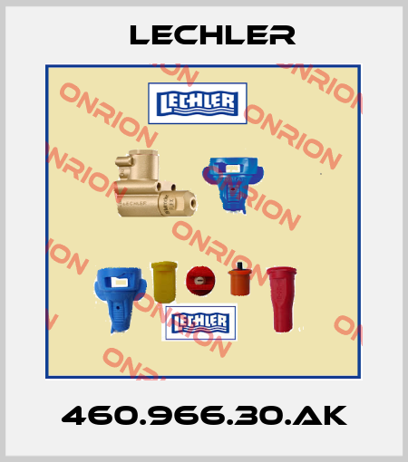460.966.30.AK Lechler