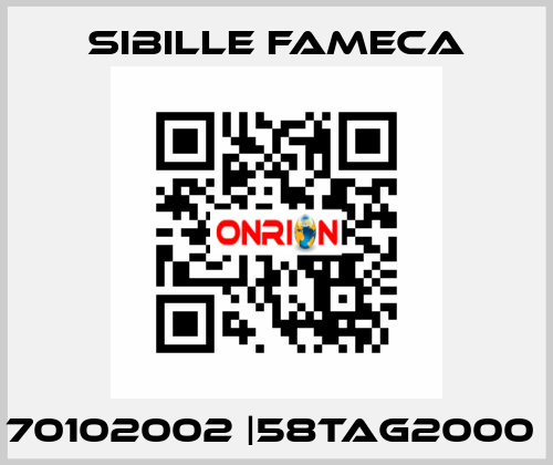 70102002 |58TAG2000  Sibille Fameca