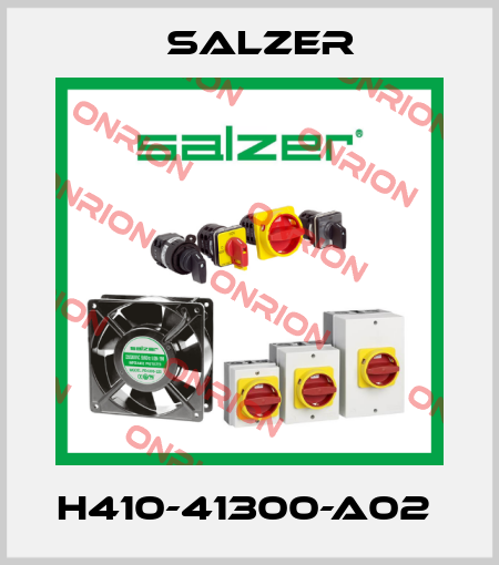 H410-41300-A02  Salzer