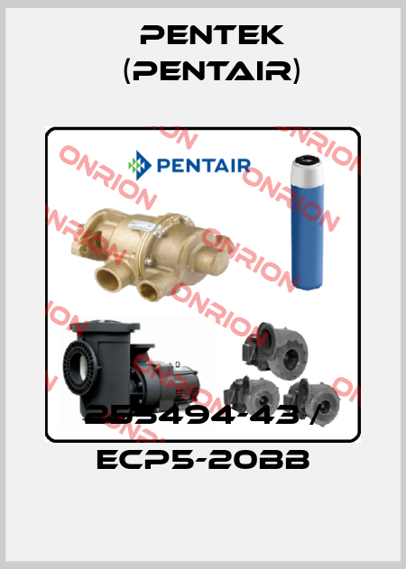 255494-43 / ECP5-20BB Pentek (Pentair)