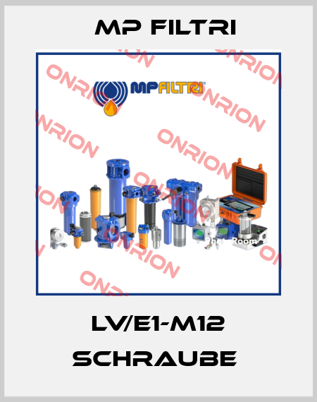 LV/E1-M12 Schraube  MP Filtri
