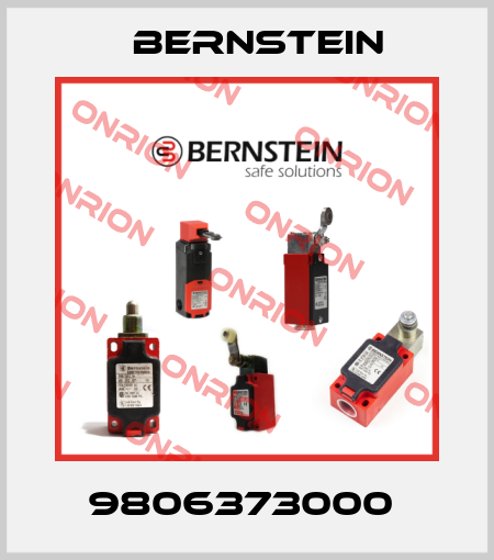 9806373000  Bernstein