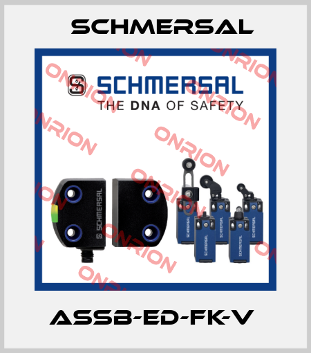 ASSB-ED-FK-V  Schmersal