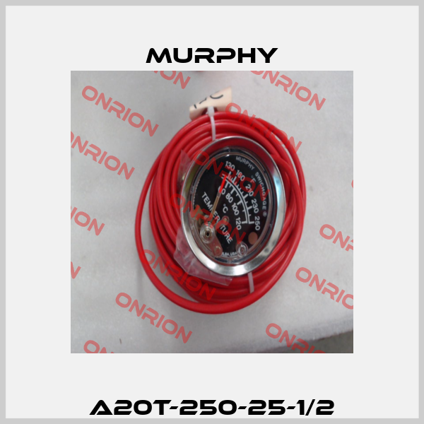 A20T-250-25-1/2 Murphy