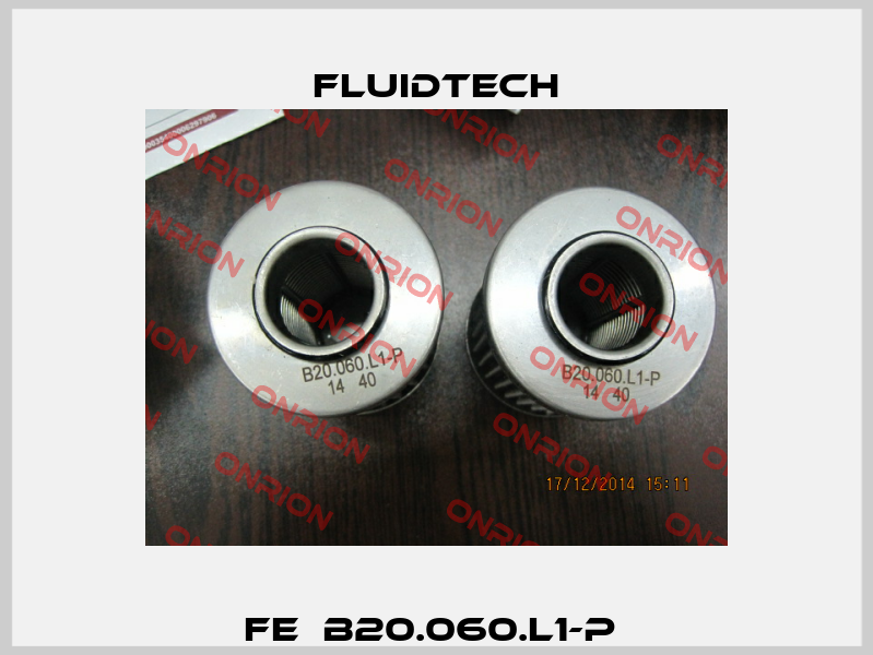 FE  B20.060.L1-P  Fluidtech