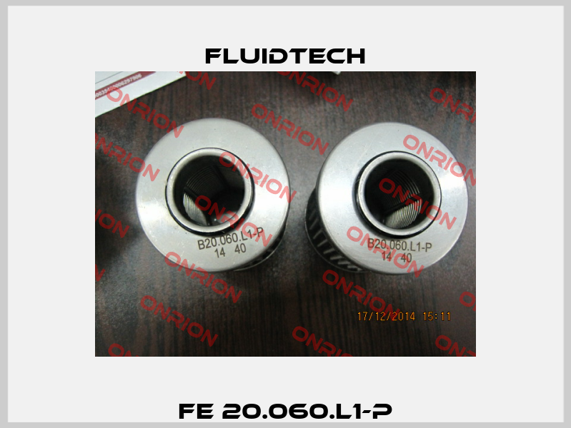 FE 20.060.L1-P Fluidtech