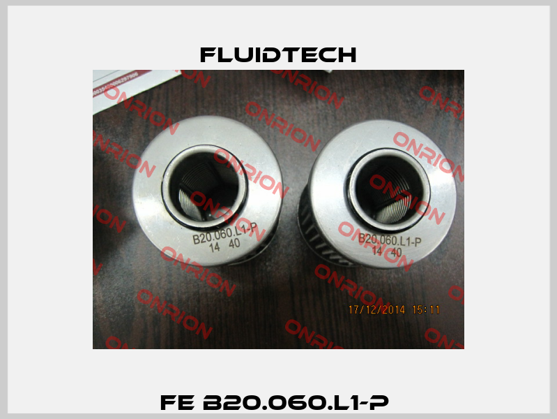 FE B20.060.L1-P  Fluidtech