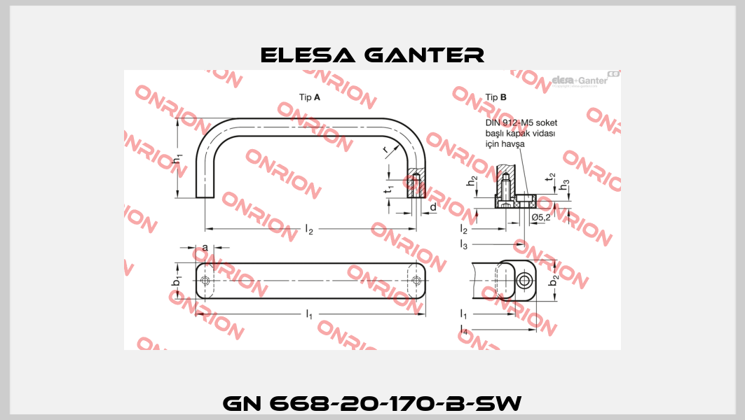 GN 668-20-170-B-SW Elesa Ganter