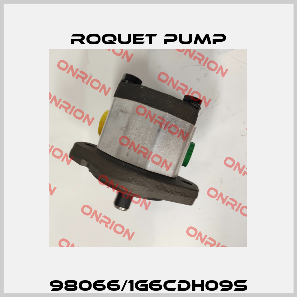 98066/1G6CDH09S Roquet pump