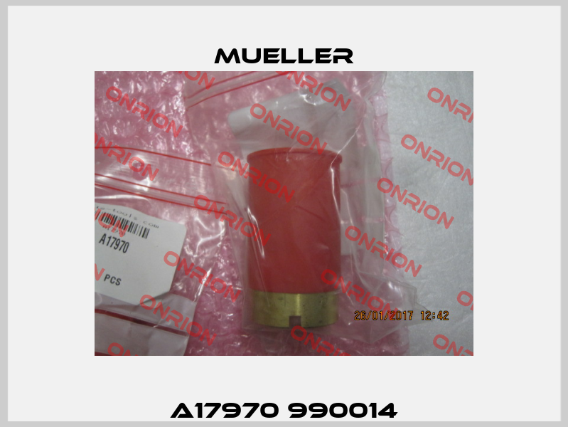 A17970 990014 Mueller