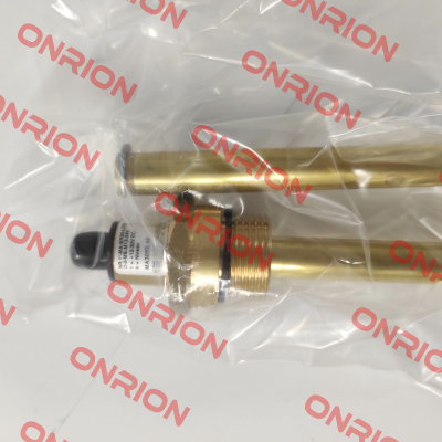 NR1IN-MA-SR30-L370-O-O-MS-M12 Goldammer