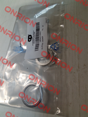 V0RAA23X00017 POMPE CUCCHI SRL