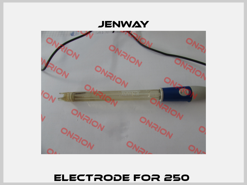 Electrode for 250  Jenway