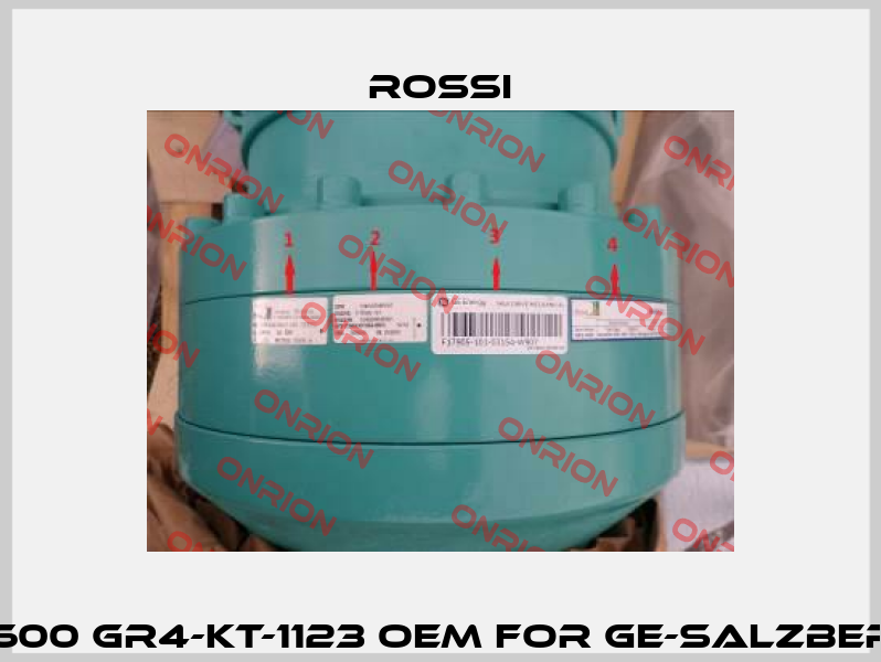 RES 600 GR4-KT-1123 OEM for GE-Salzbergen  Rossi