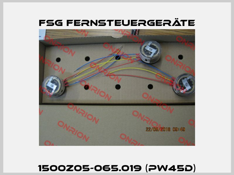 1500Z05-065.019 (PW45d) FSG Fernsteuergeräte