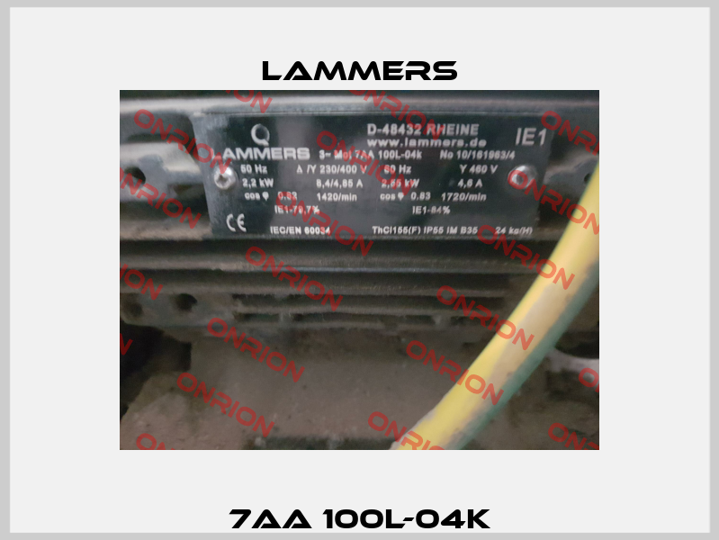 7AA 100L-04k Lammers