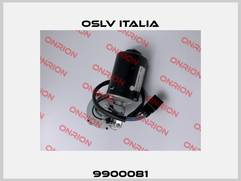 9900081 OSLV Italia