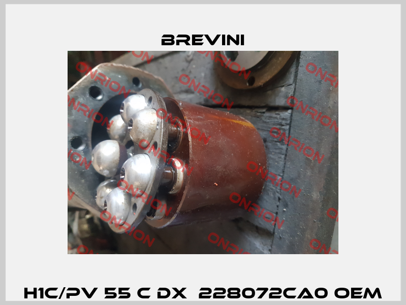 H1C/PV 55 C DX  228072CA0 OEM Brevini