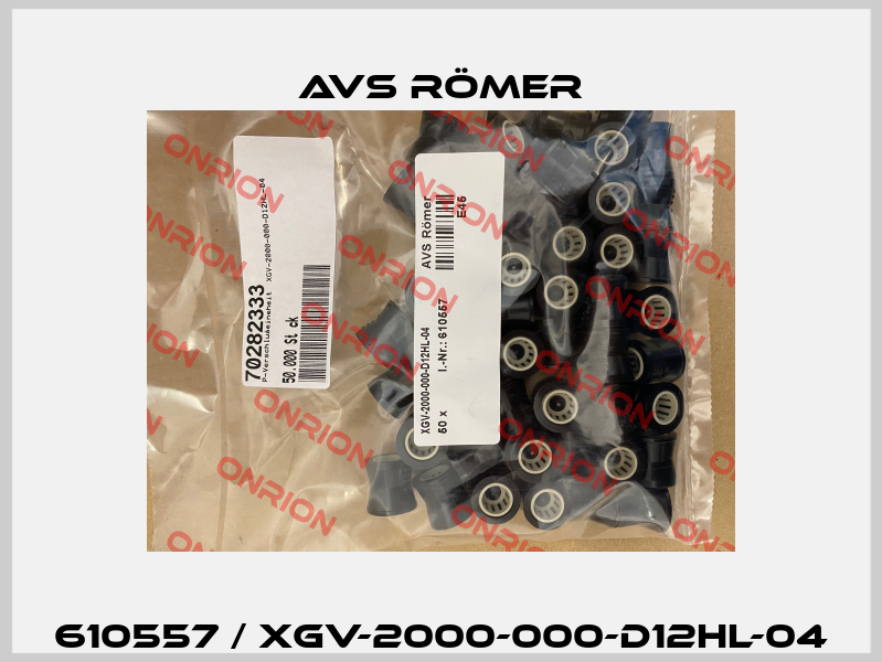 610557 / XGV-2000-000-D12HL-04 Avs Römer
