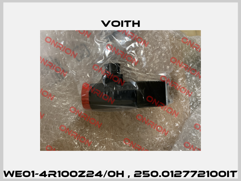 WE01-4R100Z24/0H , 250.012772100IT Voith