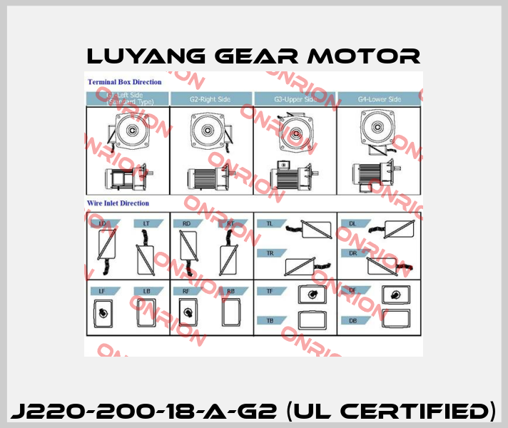 J220-200-18-A-G2 (UL certified) Luyang Gear Motor