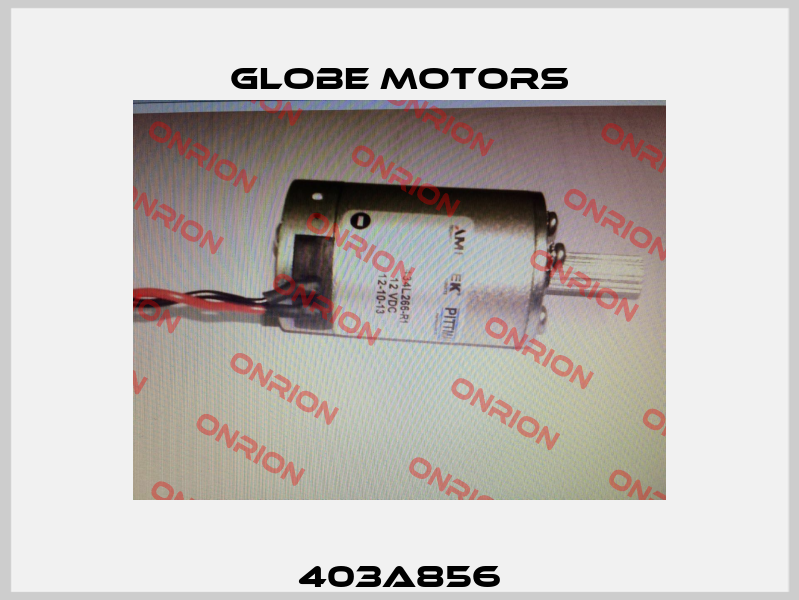 403A856 Globe Motors