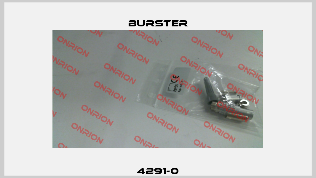 4291-0 Burster